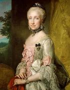 Anton Raphael Mengs Portrait of Maria Luisa of Spain oil on canvas